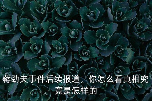 蔣勁夫事件后續(xù)報道，你怎么看真相究竟是怎樣的