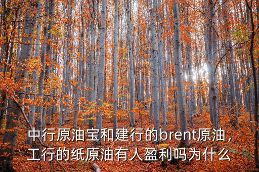 中行原油寶和建行的brent原油，工行的紙原油有人盈利嗎為什么