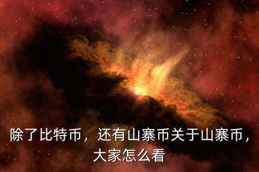 除了比特幣，還有山寨幣關(guān)于山寨幣，大家怎么看