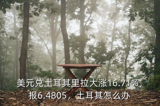 美元兌土耳其里拉大漲16.71%，報6.4805，土耳其怎么辦