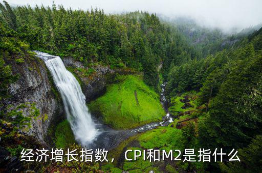 經(jīng)濟增長指數(shù)，CPI和M2是指什么