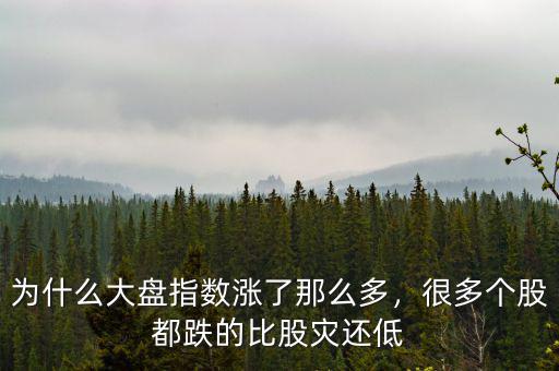 為什么大盤指數漲了那么多，很多個股都跌的比股災還低