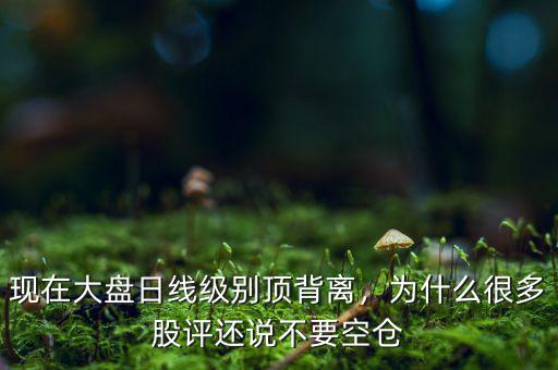 現(xiàn)在大盤(pán)日線(xiàn)級(jí)別頂背離，為什么很多股評(píng)還說(shuō)不要空倉(cāng)