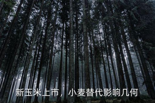 新玉米上市，小麥替代影響幾何