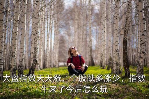 大盤指數(shù)天天漲，個(gè)股跌多漲少，指數(shù)牛來了今后怎么玩