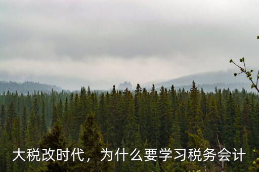 大稅改時(shí)代，為什么要學(xué)習(xí)稅務(wù)會(huì)計(jì)