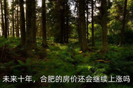 未來十年，合肥的房?jī)r(jià)還會(huì)繼續(xù)上漲嗎