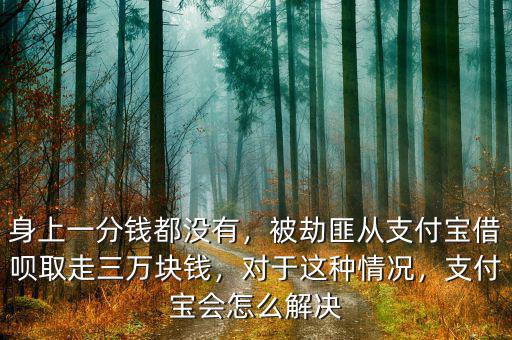 身上一分錢都沒有，被劫匪從支付寶借唄取走三萬(wàn)塊錢，對(duì)于這種情況，支付寶會(huì)怎么解決