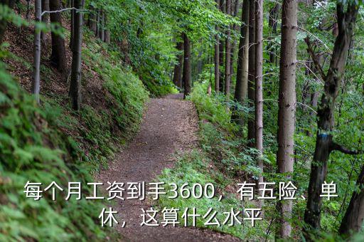每個月工資到手3600，有五險、單休，這算什么水平