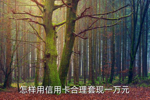 怎樣用信用卡合理套現一萬元