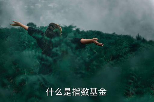 什么是指數基金