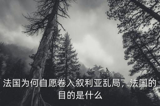 法國為何自愿卷入敘利亞亂局，法國的目的是什么