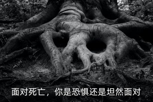 面對(duì)死亡，你是恐懼還是坦然面對(duì)