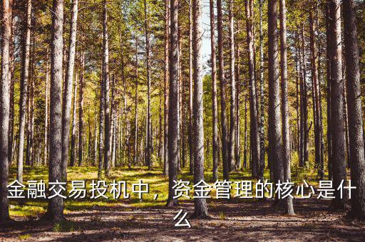 金融交易投機(jī)中，資金管理的核心是什么