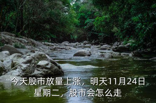 今天股市放量上漲，明天11月24日星期二，股市會怎么走