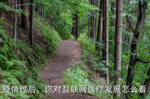 疫情過后，你對互聯(lián)網(wǎng)醫(yī)療發(fā)展怎么看
