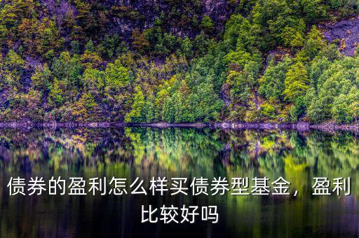 債券的盈利怎么樣買債券型基金，盈利比較好嗎