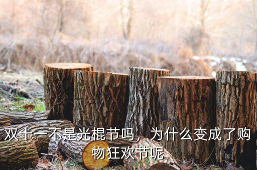 雙十一不是光棍節(jié)嗎，為什么變成了購物狂歡節(jié)呢