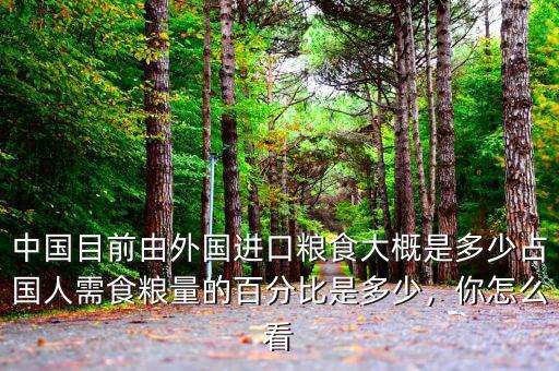 中國(guó)目前由外國(guó)進(jìn)口糧食大概是多少占國(guó)人需食糧量的百分比是多少，你怎么看