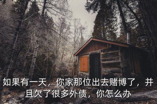 如果有一天，你家那位出去賭博了，并且欠了很多外債，你怎么辦