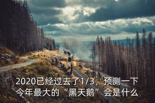 2020已經(jīng)過去了1/3，預(yù)測一下今年最大的“黑天鵝”會是什么
