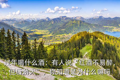 過年喝什么酒：有人說“紅酒不易醉，但后勁大”，你知道是為什么嘛嗎