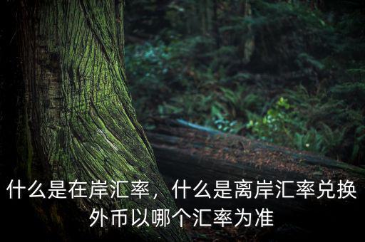什么是在岸匯率，什么是離岸匯率兌換外幣以哪個匯率為準