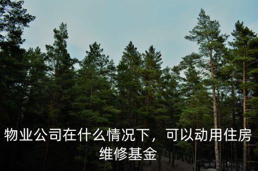 物業(yè)公司在什么情況下，可以動用住房維修基金