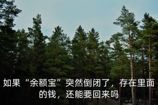 如果“余額寶”突然倒閉了，存在里面的錢，還能要回來嗎