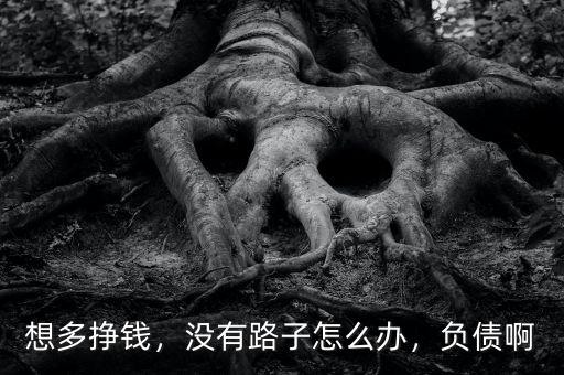 想多掙錢，沒有路子怎么辦，負債啊