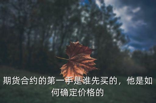 期貨合約的第一手是誰先買的，他是如何確定價格的