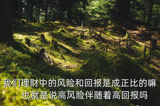 我們理財中的風(fēng)險和回報是成正比的嘛，也就是說高風(fēng)險伴隨著高回報嗎