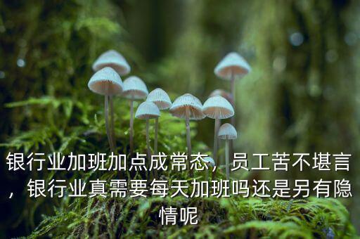 銀行業(yè)加班加點成常態(tài)，員工苦不堪言，銀行業(yè)真需要每天加班嗎還是另有隱情呢