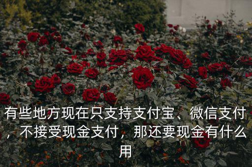 有些地方現(xiàn)在只支持支付寶、微信支付，不接受現(xiàn)金支付，那還要現(xiàn)金有什么用
