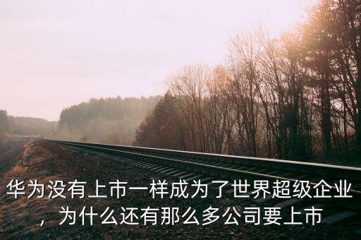 華為沒(méi)有上市一樣成為了世界超級(jí)企業(yè)，為什么還有那么多公司要上市