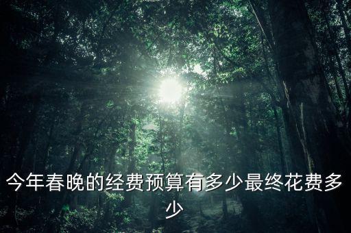 今年春晚的經費預算有多少最終花費多少
