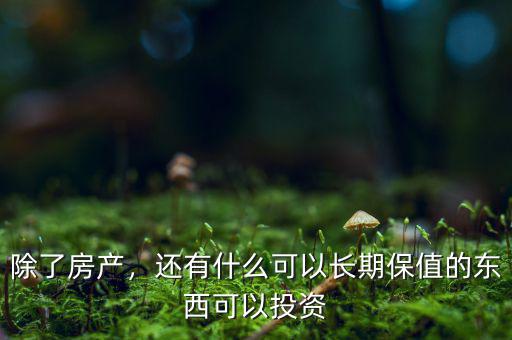除了房產(chǎn)，還有什么可以長(zhǎng)期保值的東西可以投資