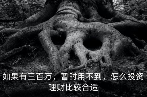 如果有三百萬，暫時(shí)用不到，怎么投資理財(cái)比較合適