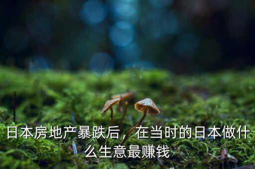日本房地產(chǎn)暴跌后，在當(dāng)時的日本做什么生意最賺錢