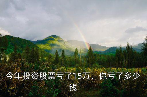 今年投資股票虧了15萬，你虧了多少錢
