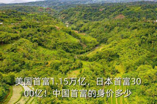 美國(guó)首富1.15萬(wàn)億，日本首富3000億！中國(guó)首富的身價(jià)多少