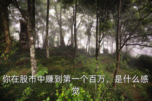 你在股市中賺到第一個(gè)百萬(wàn)，是什么感覺(jué)