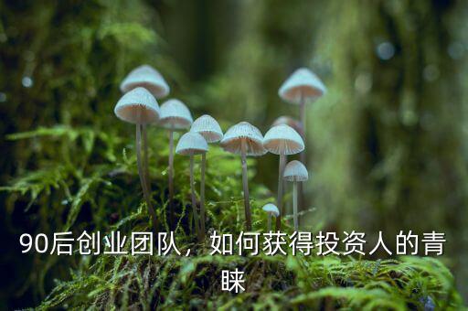90后創(chuàng)業(yè)團(tuán)隊(duì)，如何獲得投資人的青睞