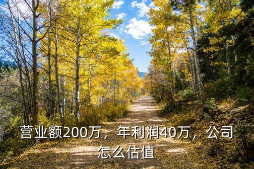 營(yíng)業(yè)額200萬(wàn)，年利潤(rùn)40萬(wàn)，公司怎么估值