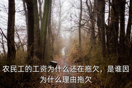 農(nóng)民工的工資為什么還在拖欠，是誰(shuí)因?yàn)槭裁蠢碛赏锨? class=