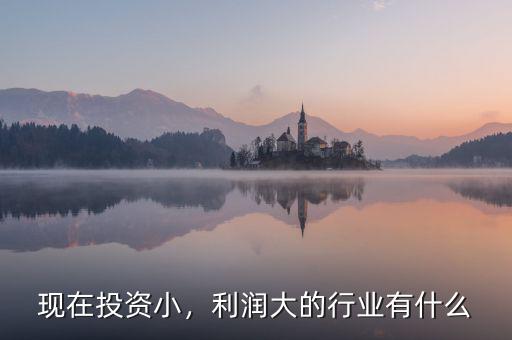 現(xiàn)在投資小，利潤(rùn)大的行業(yè)有什么