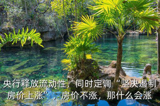 央行釋放流動性，同時定調(diào)“堅決遏制房價上漲”，房價不漲，那什么會漲