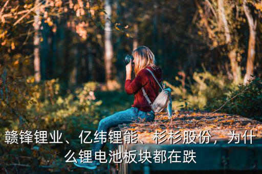 贛鋒鋰業(yè)、億緯鋰能、杉杉股份，為什么鋰電池板塊都在跌