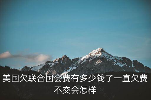 美國欠聯(lián)合國會費(fèi)有多少錢了一直欠費(fèi)不交會怎樣