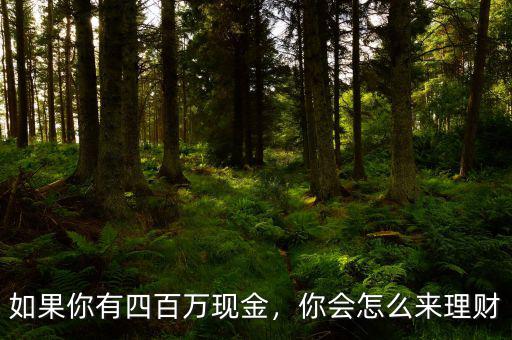 如果你有四百萬現(xiàn)金，你會怎么來理財